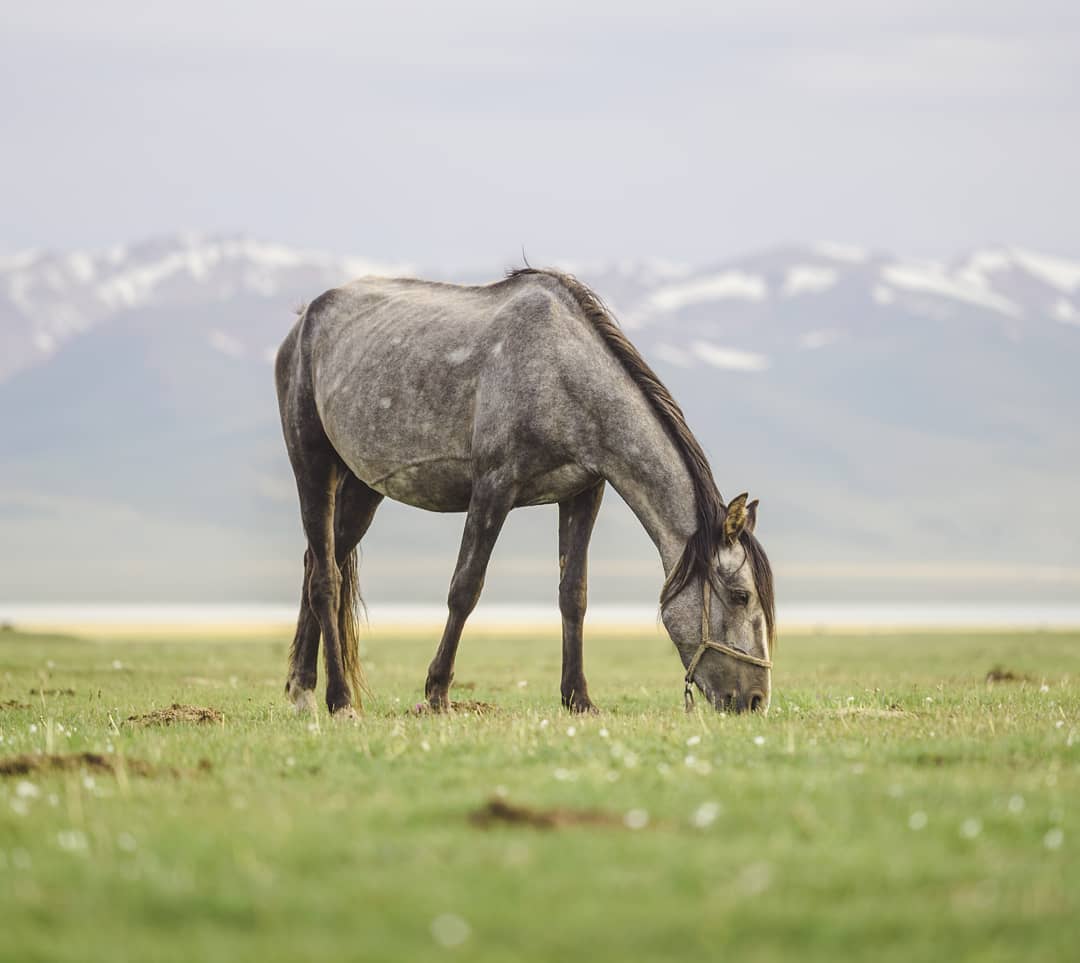 Kyrgyzstan tour gallery image 4