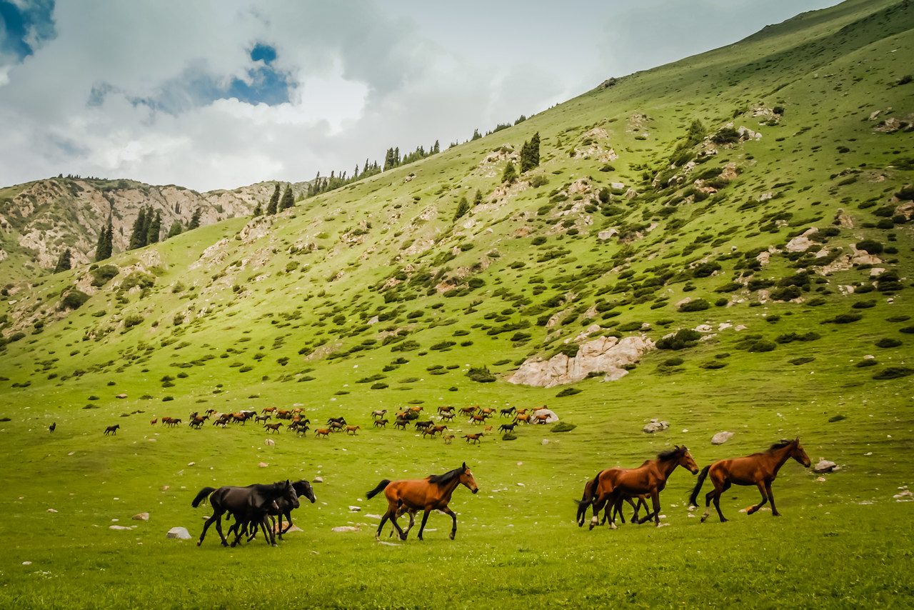 4-Day Horseback Adventure to Song-Kul Lake
